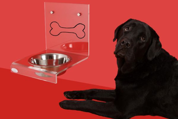 „Hafas&Hafitas“ Puppydu psí mňaminář