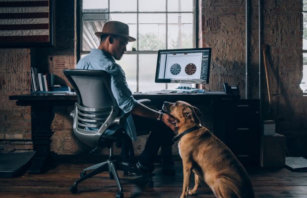Z českých kanceláří se stává dogoffice