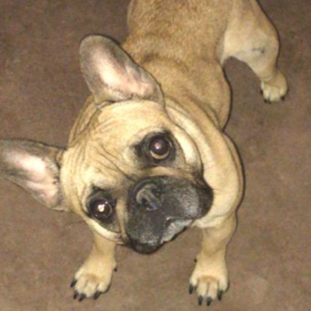 Molly