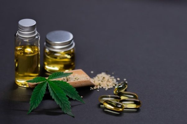 CBD pro psy aneb Přírodní bojovník s bolestí i úzkostí – co byste o něm měli vědět?