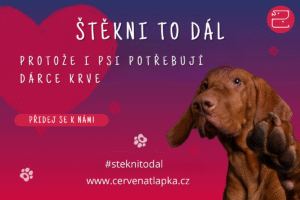 Štěkni to dál. Kampaň, která zachraňuje psí životy