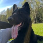 Pes k adopci ANN – fotografie 21